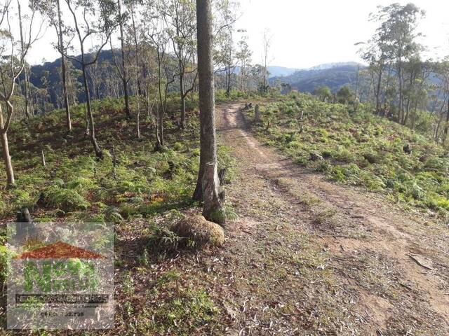 Terreno para Venda em Ribeirão Pires - 4