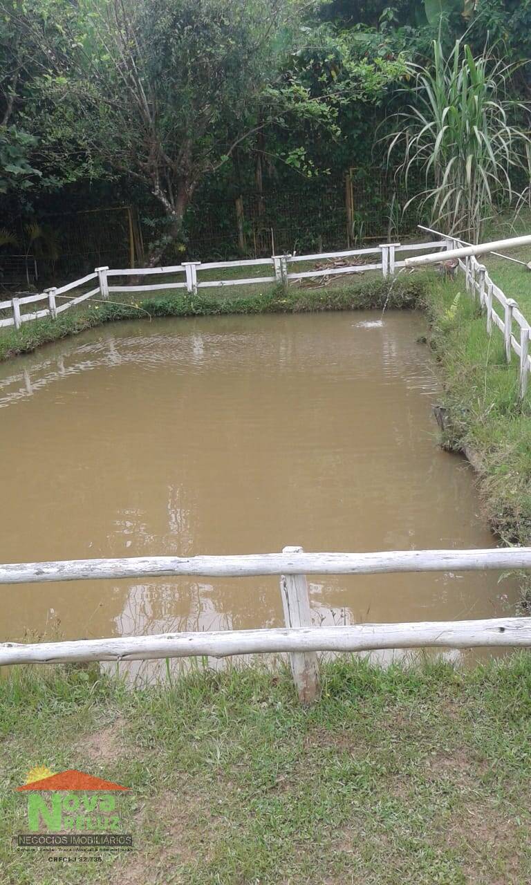 Fazenda à venda com 2 quartos, 2000m² - Foto 28