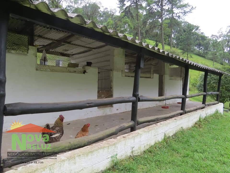 Fazenda à venda com 2 quartos, 22000m² - Foto 18