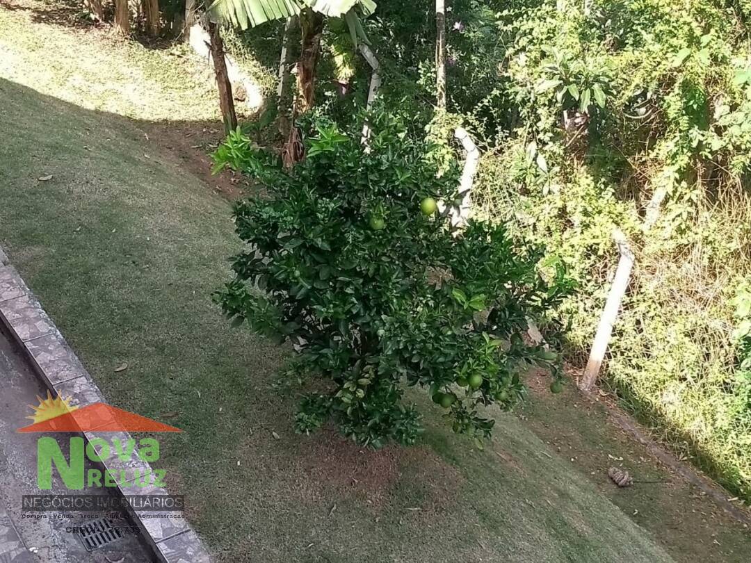 Fazenda à venda com 3 quartos, 1300m² - Foto 20