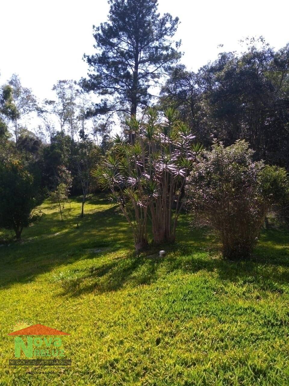 Fazenda à venda com 2 quartos, 3000000m² - Foto 31