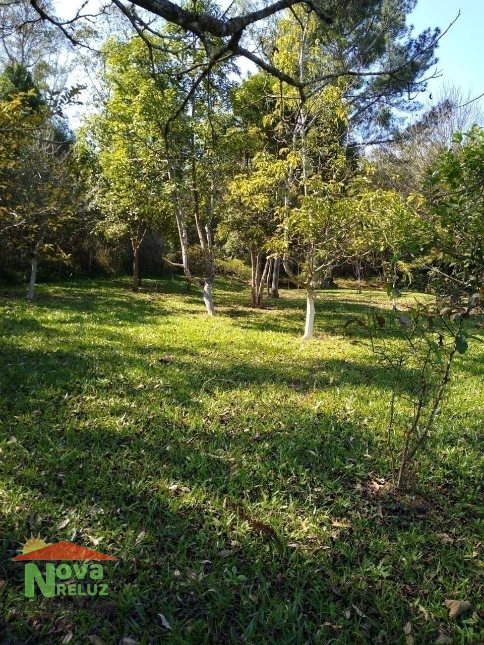 Fazenda à venda com 2 quartos, 3000000m² - Foto 21