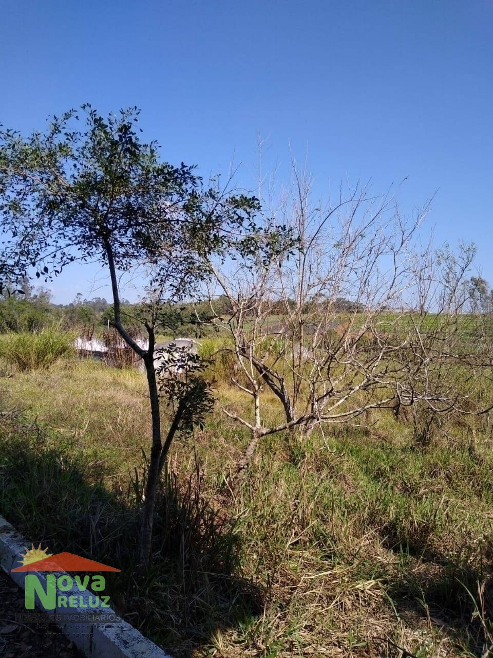 Fazenda à venda com 2 quartos, 3000000m² - Foto 19