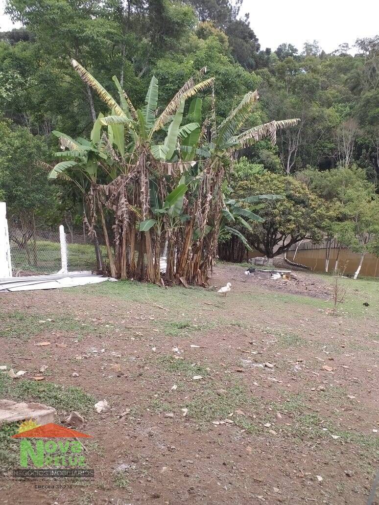 Fazenda à venda com 3 quartos, 400m² - Foto 43