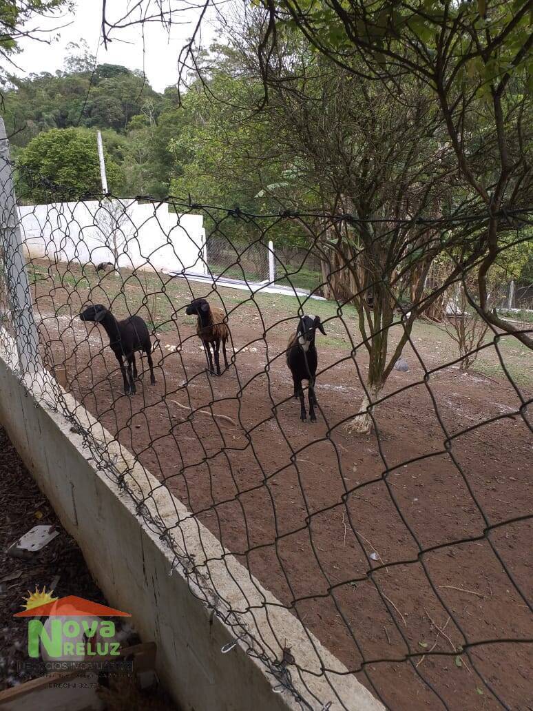 Fazenda à venda com 3 quartos, 400m² - Foto 40