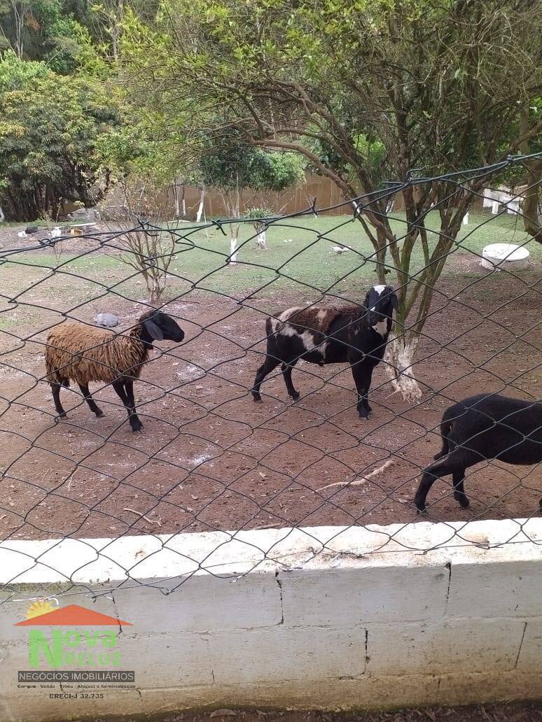 Fazenda à venda com 3 quartos, 400m² - Foto 54