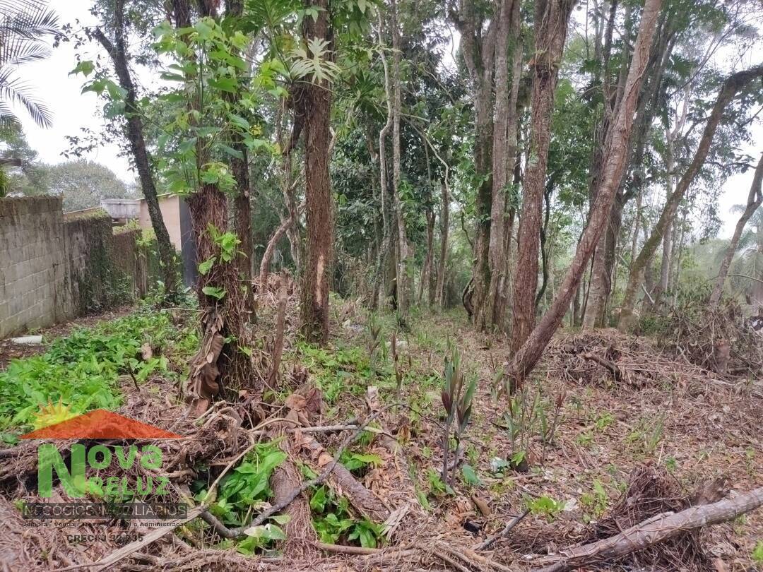 Terreno à venda, 1300m² - Foto 4