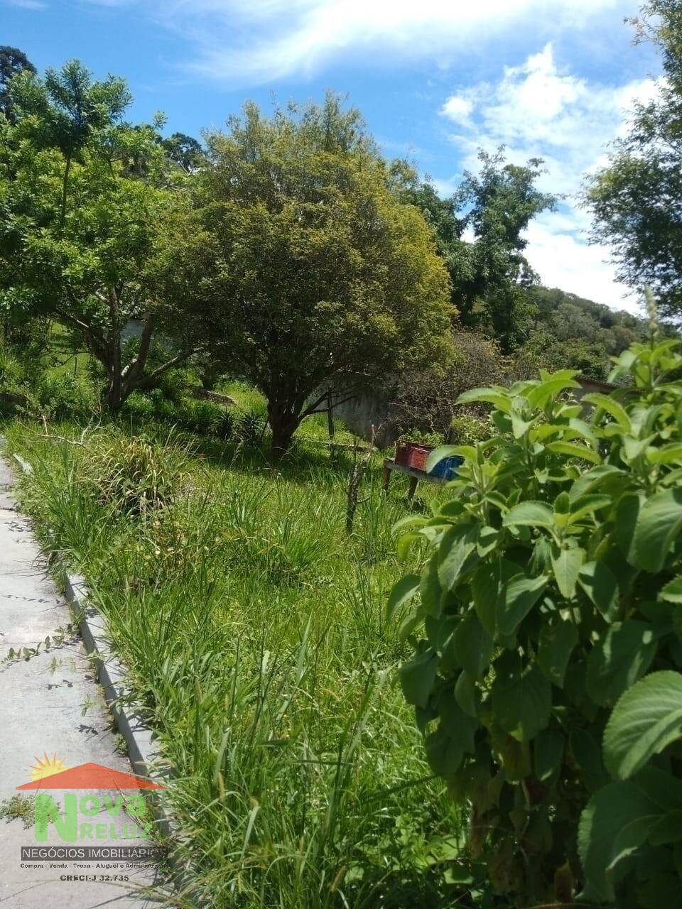 Fazenda à venda com 2 quartos, 1700m² - Foto 31