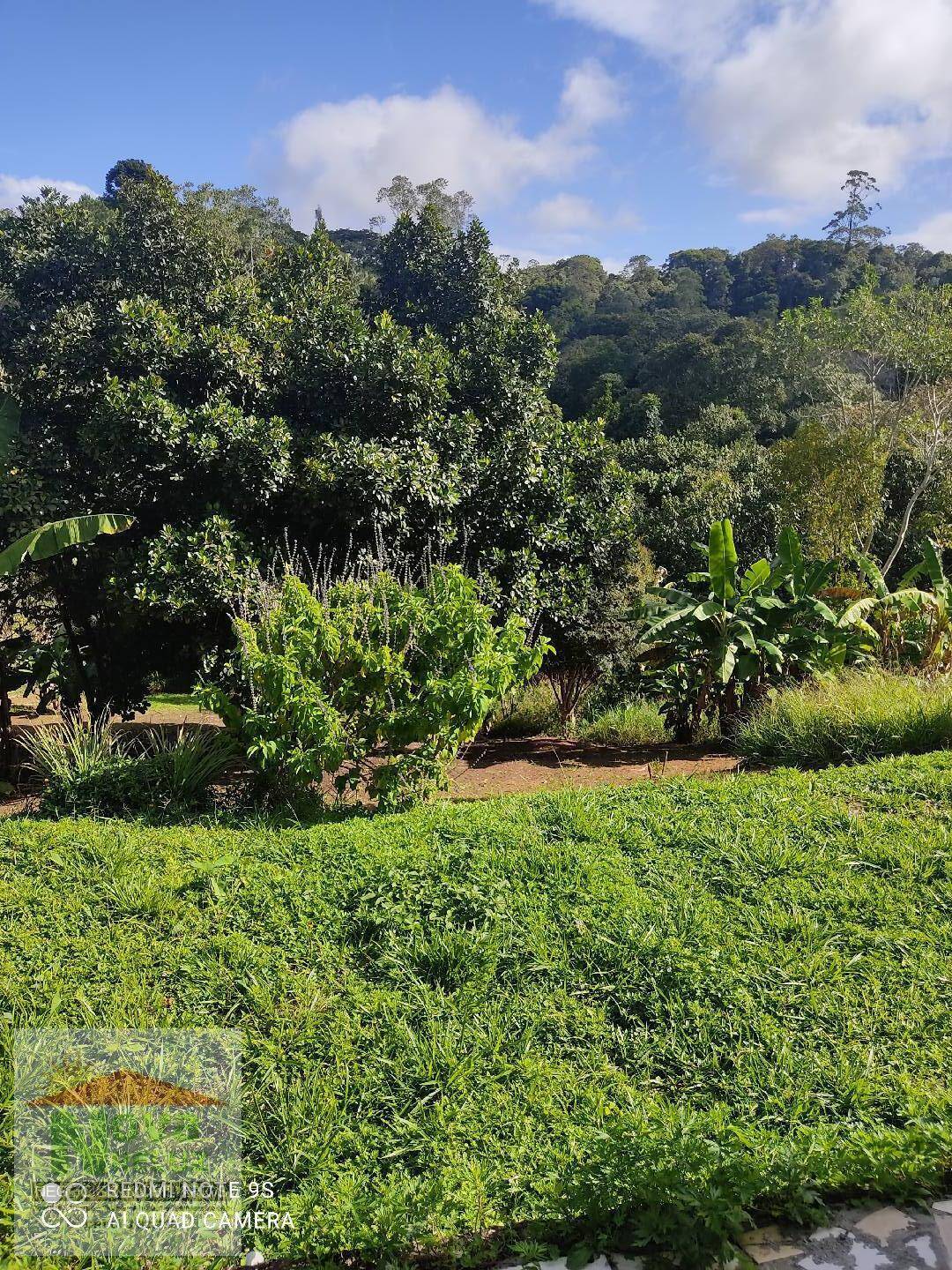 Fazenda à venda com 2 quartos - Foto 20