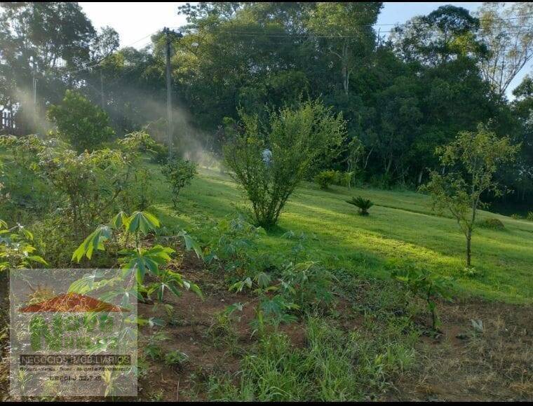 Fazenda à venda com 6 quartos, 30000m² - Foto 8