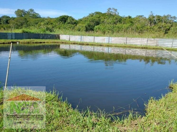 Fazenda à venda com 6 quartos, 30000m² - Foto 7