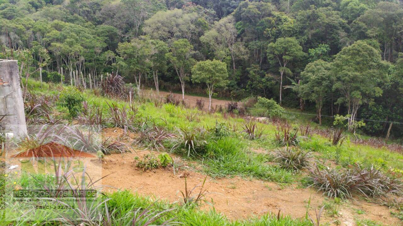 Fazenda à venda com 1 quarto, 2500m² - Foto 6