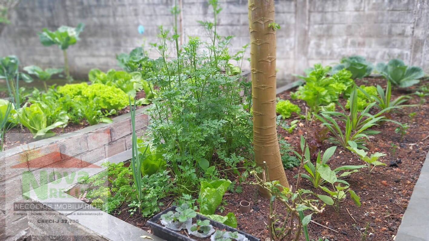 Fazenda à venda com 2 quartos, 1500m² - Foto 17