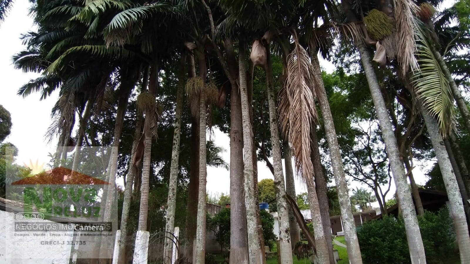 Fazenda à venda com 2 quartos, 1500m² - Foto 30