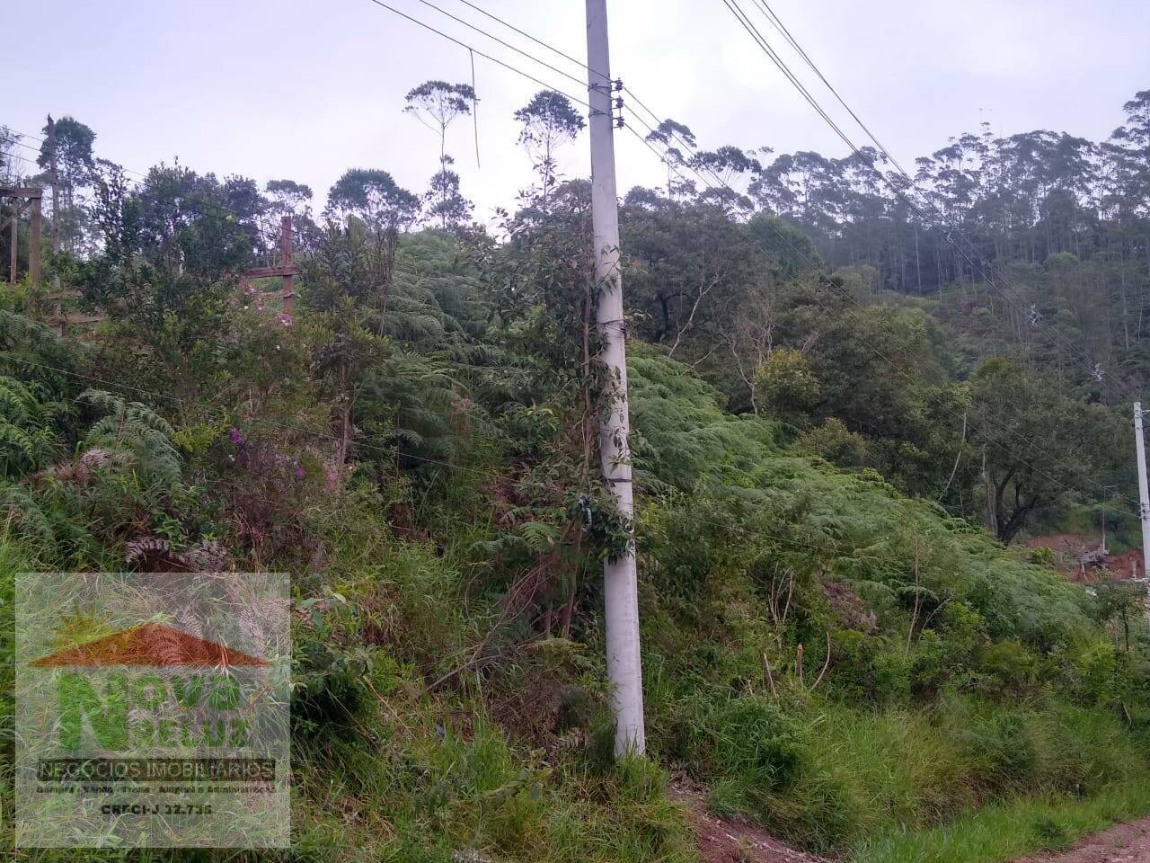 Terreno à venda, 5260m² - Foto 3