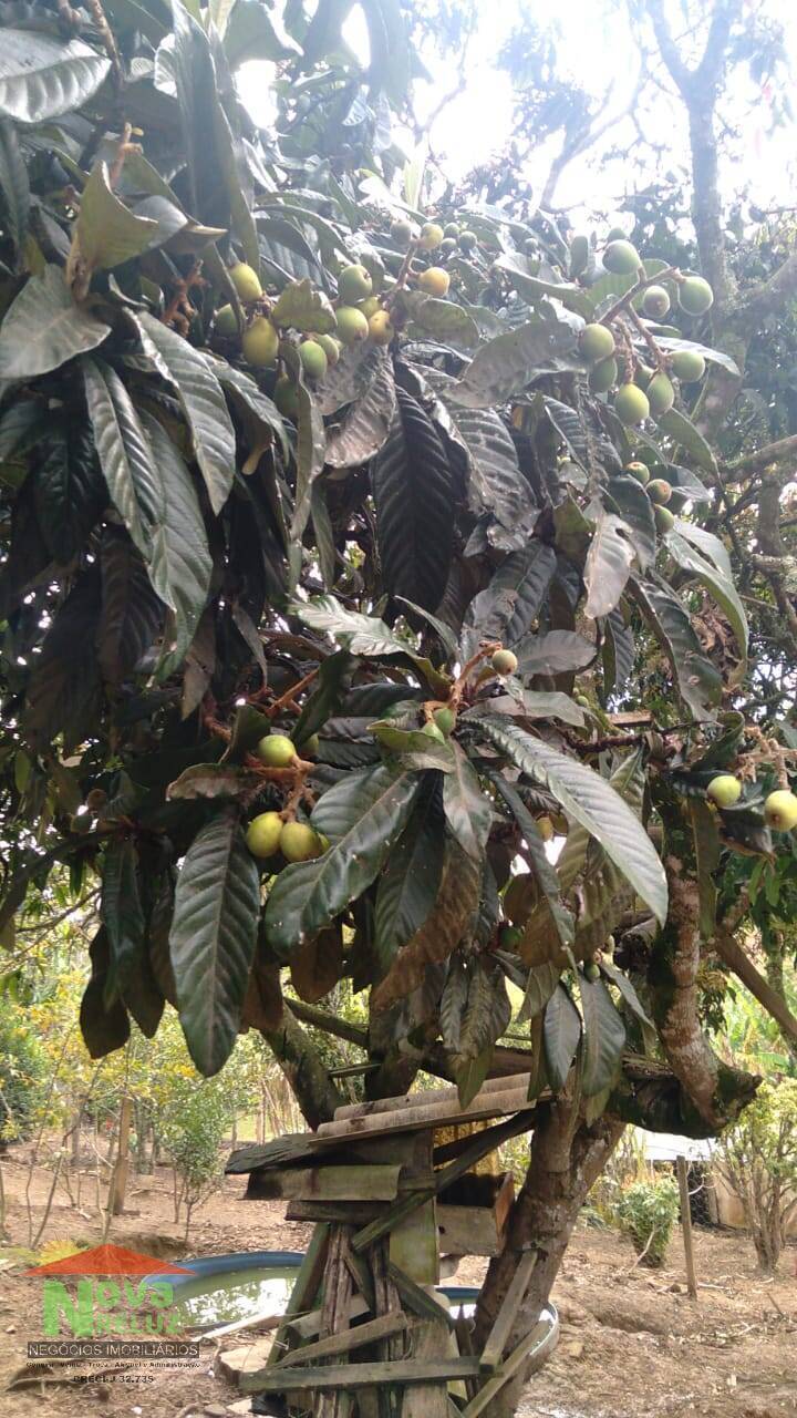 Fazenda à venda com 1 quarto, 1912m² - Foto 15