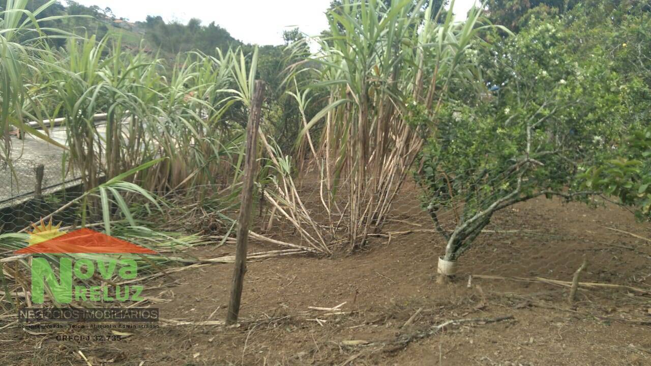 Fazenda à venda com 1 quarto, 1912m² - Foto 18