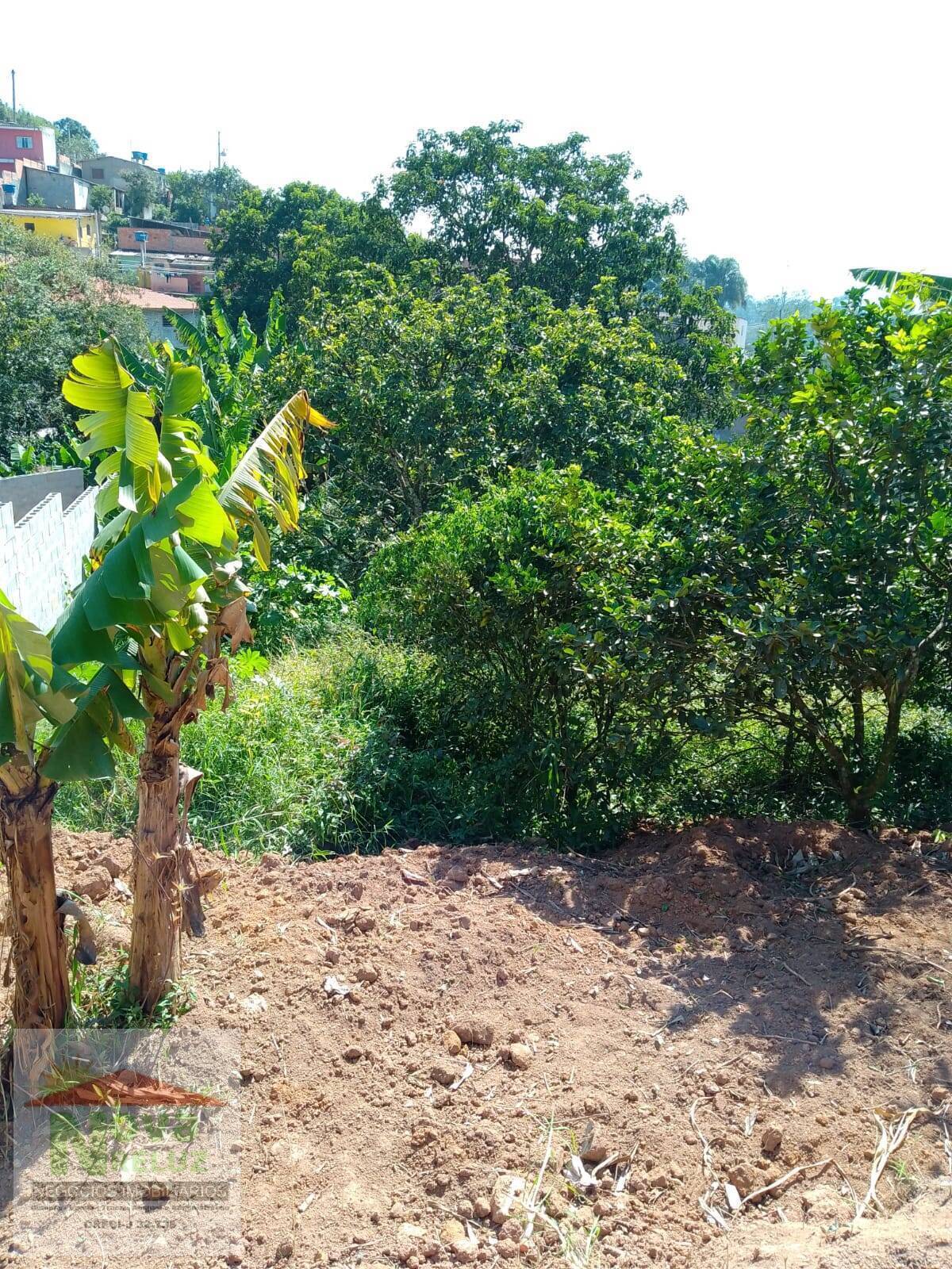 Terreno à venda, 300m² - Foto 3