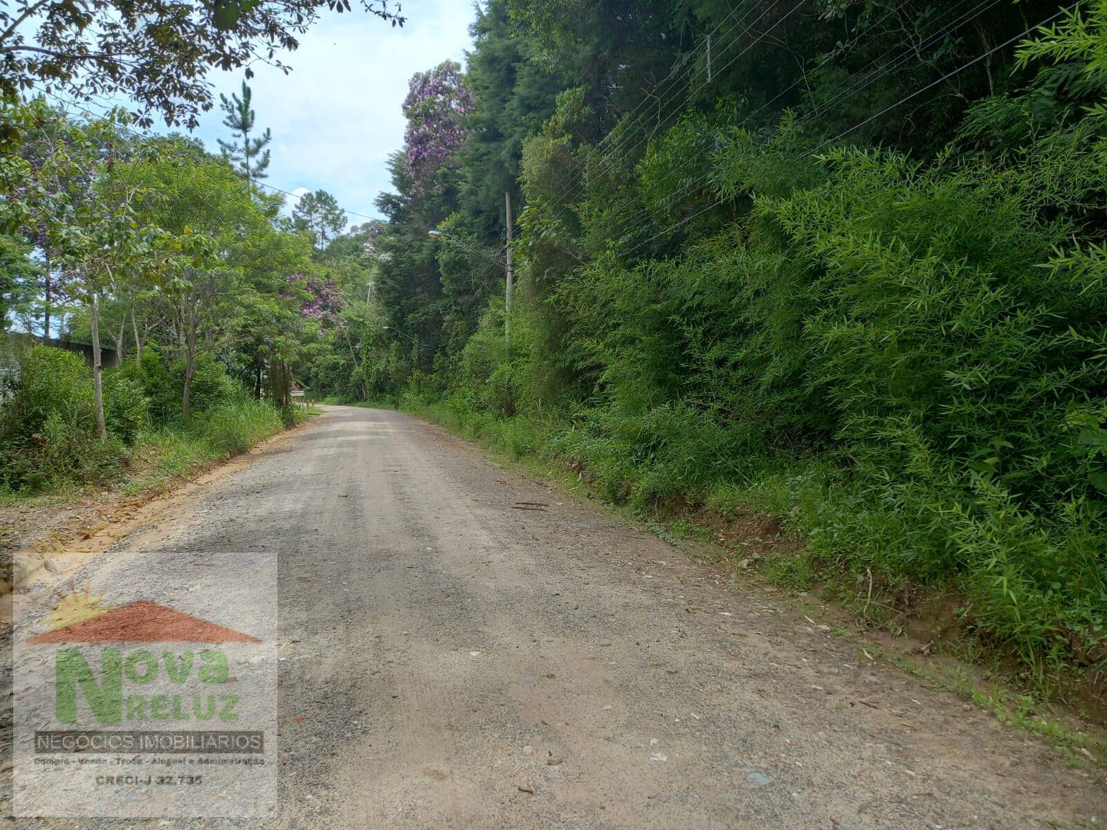 Terreno à venda, 5000m² - Foto 2