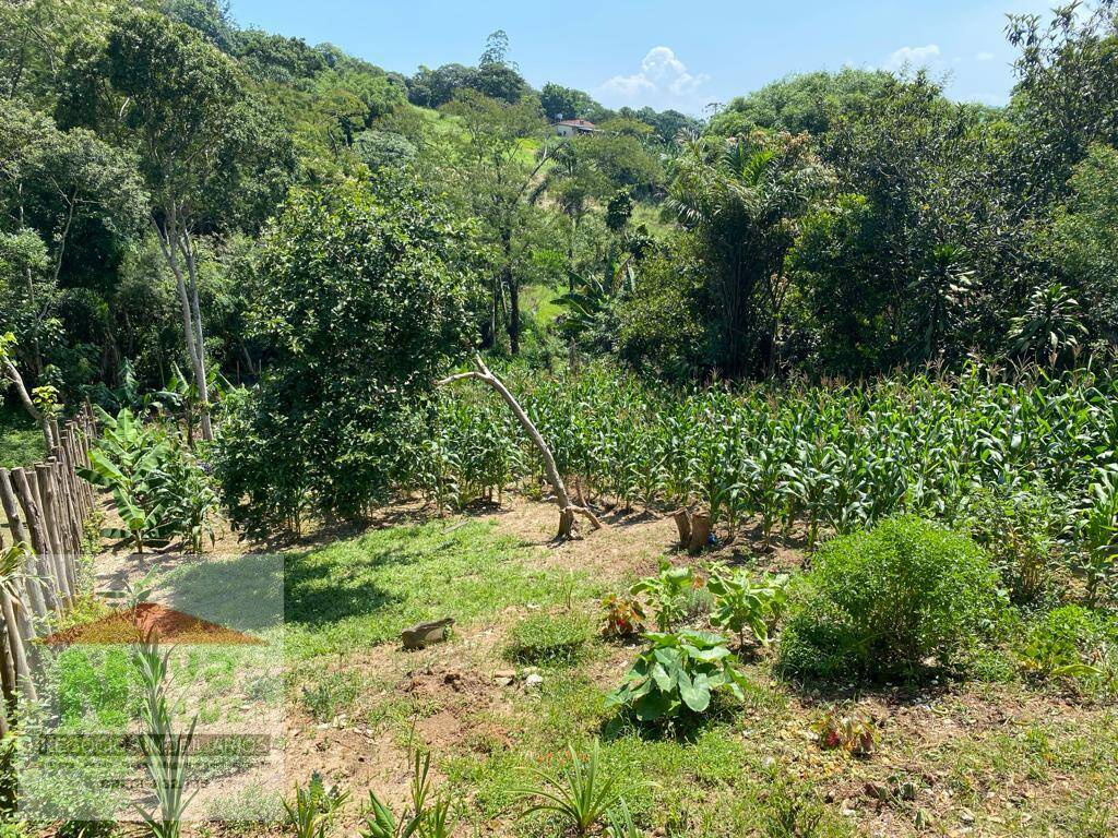 Fazenda à venda com 1 quarto - Foto 16