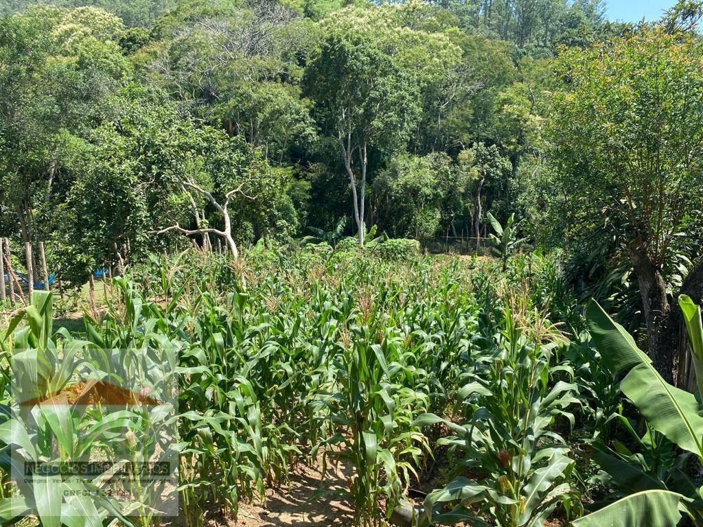 Fazenda à venda com 1 quarto - Foto 17