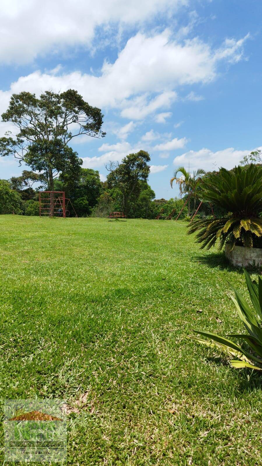 Fazenda à venda com 2 quartos, 250000m² - Foto 11