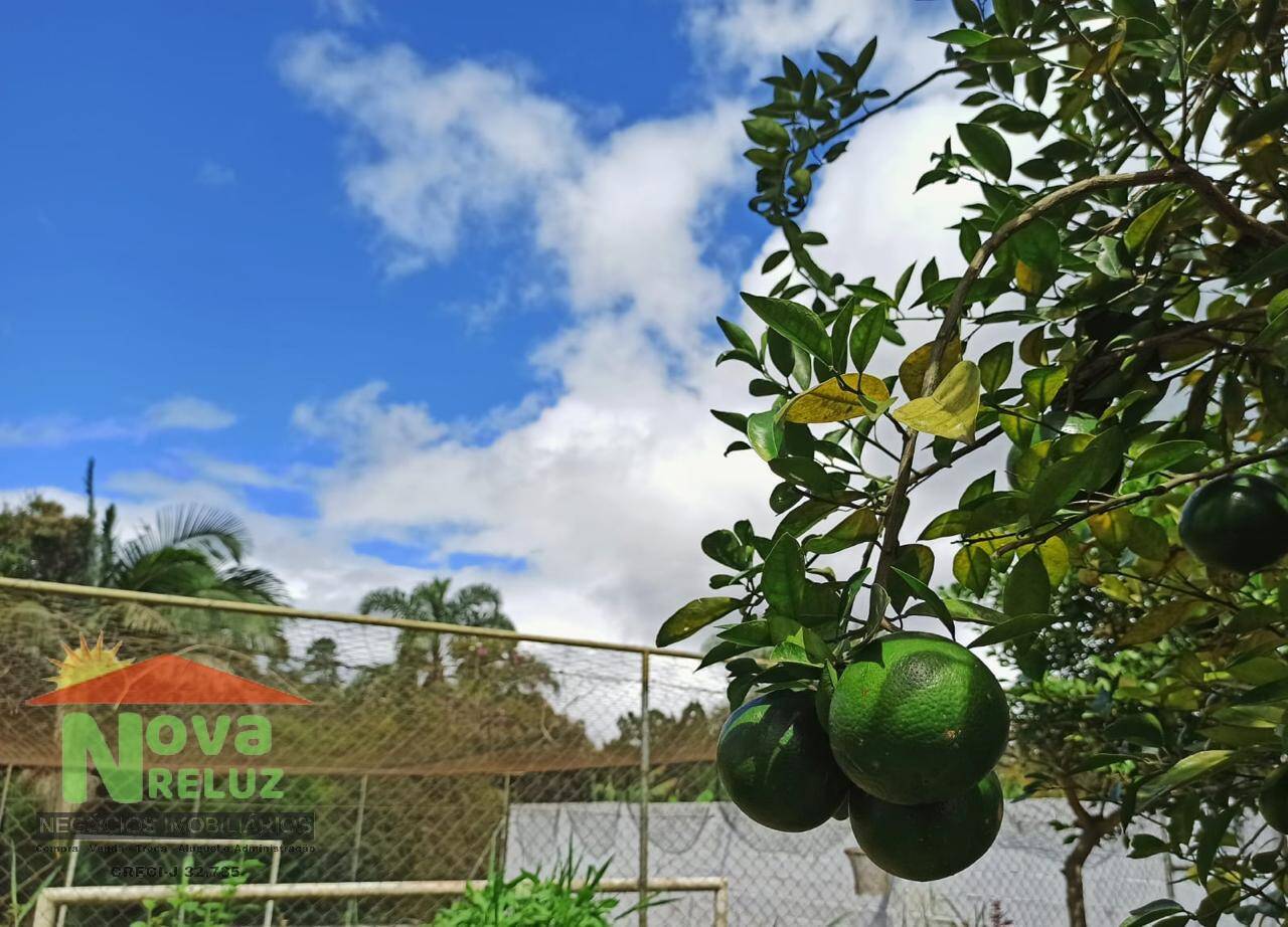 Fazenda à venda com 2 quartos, 1640m² - Foto 20