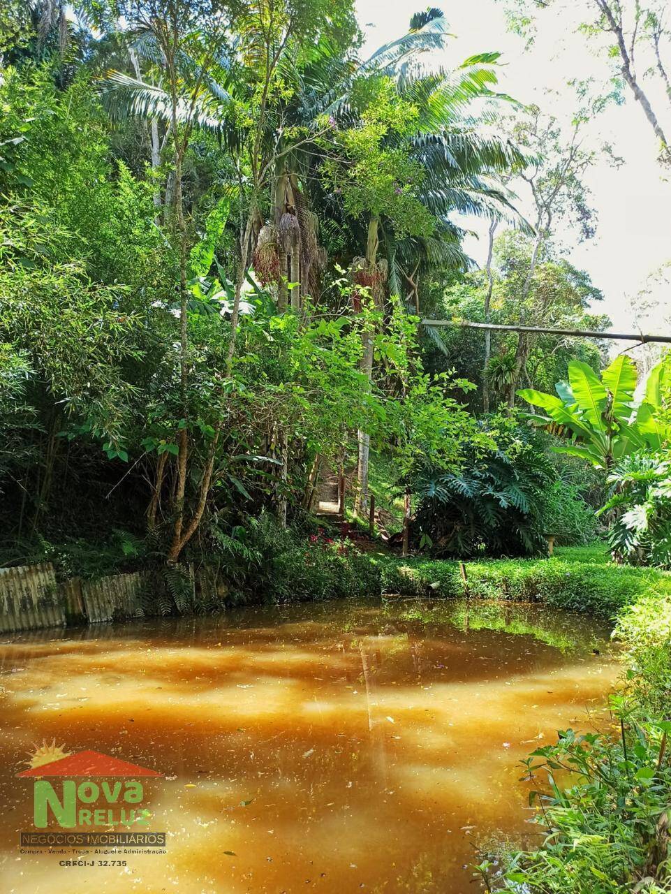 Fazenda à venda com 2 quartos, 1640m² - Foto 22