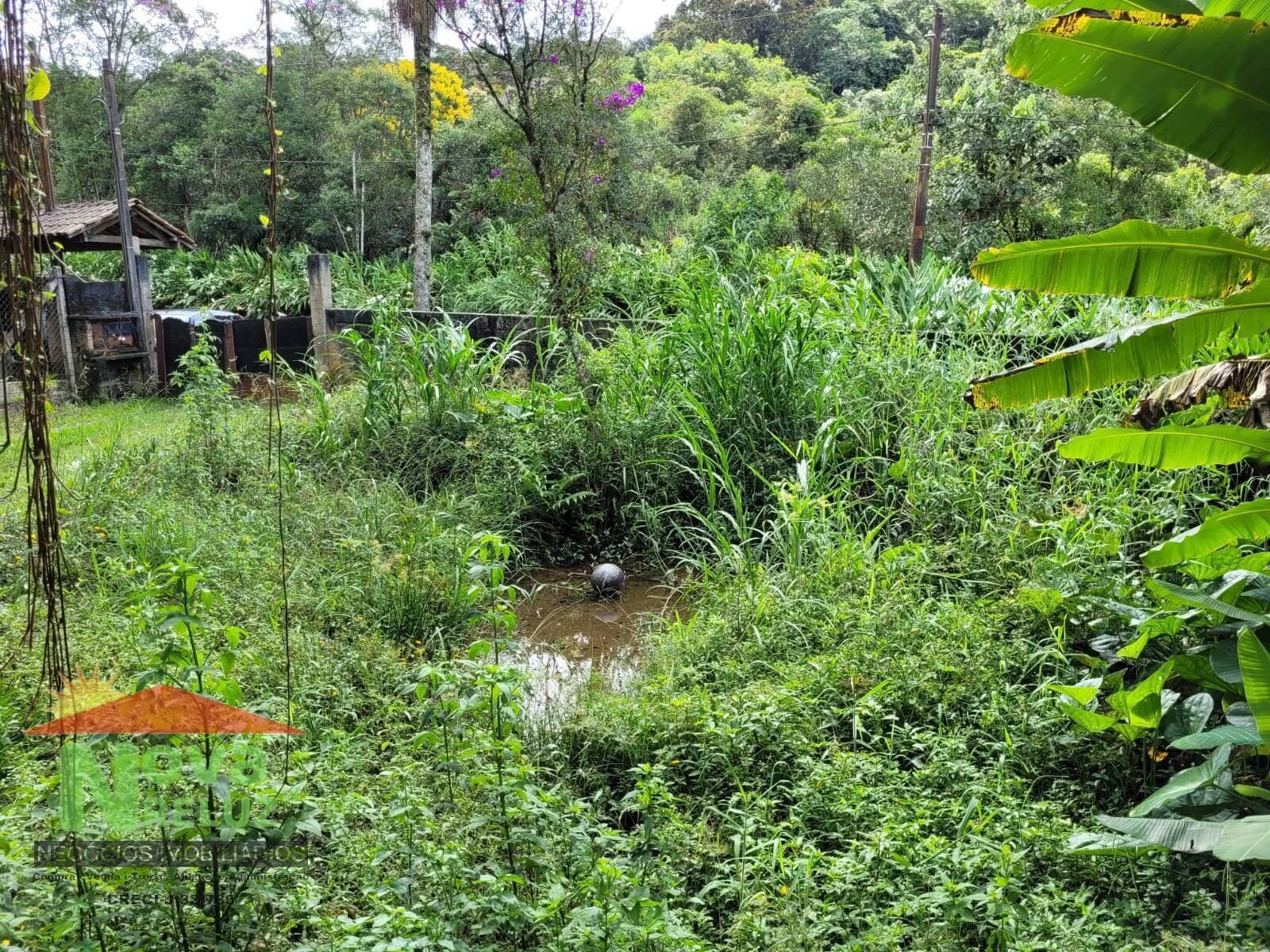 Fazenda à venda com 3 quartos, 450m² - Foto 21