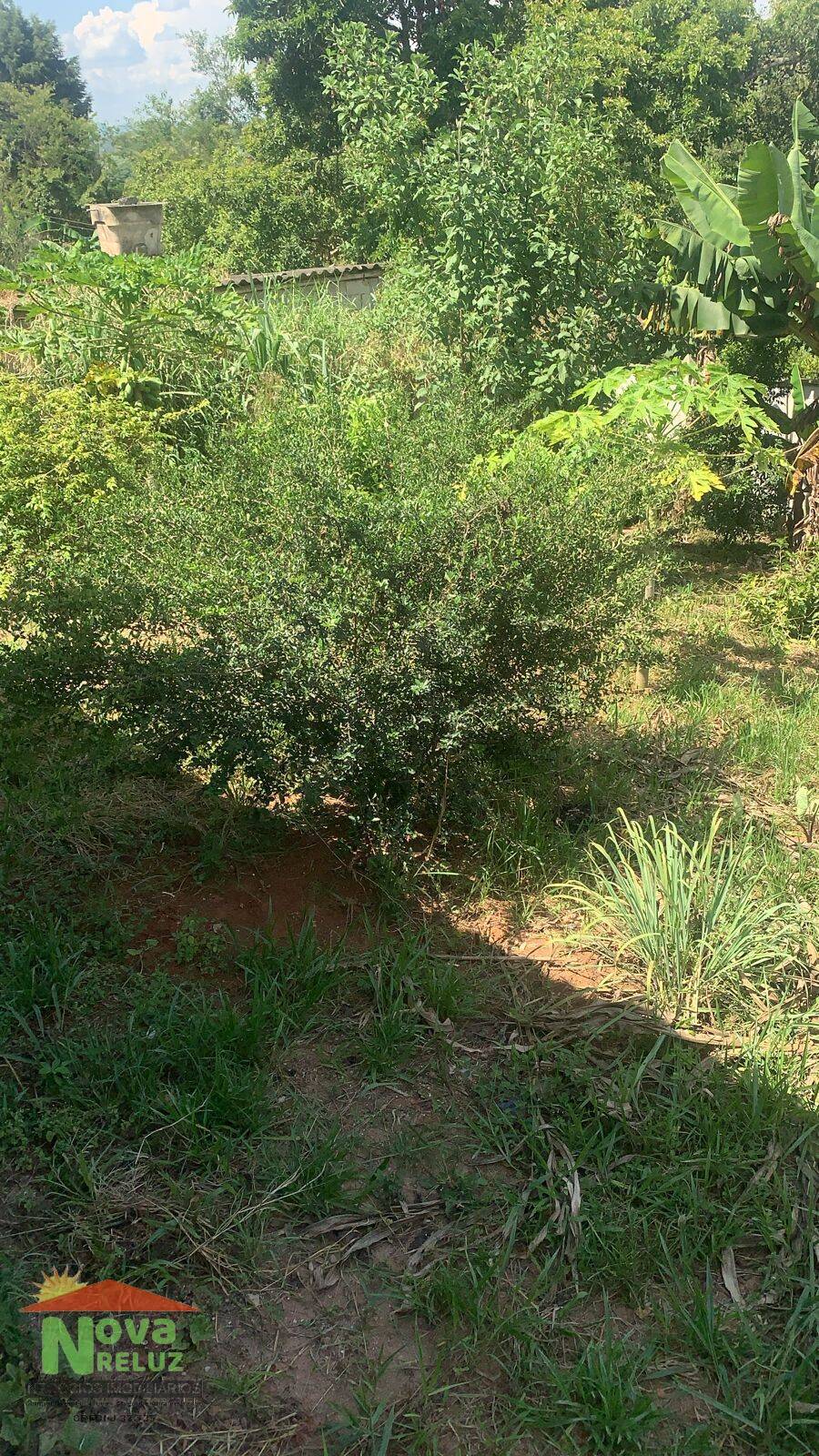 Fazenda à venda com 2 quartos, 1200m² - Foto 13