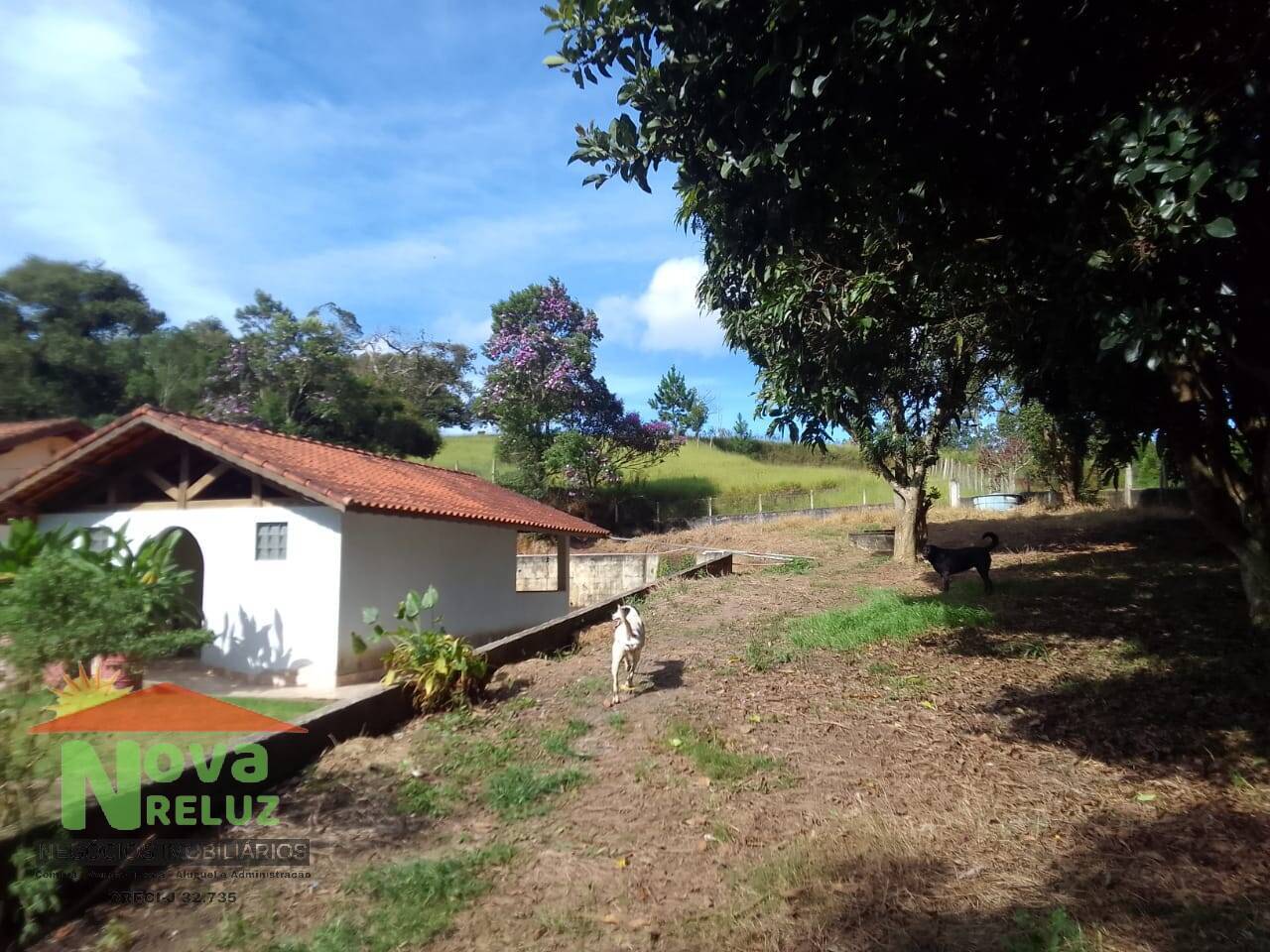 Fazenda à venda com 5 quartos, 23150m² - Foto 3