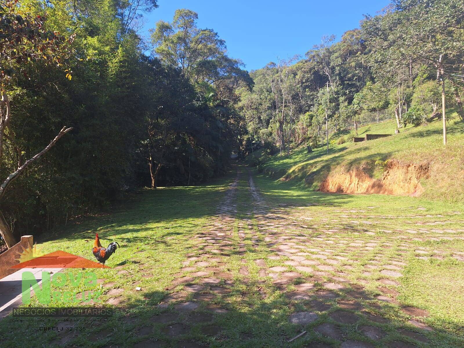 Fazenda à venda com 3 quartos, 10800m² - Foto 10